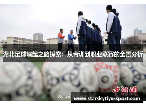 湖北足球崛起之路探索：从青训到职业联赛的全景分析